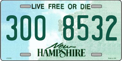 NH license plate 3008532