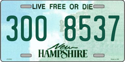 NH license plate 3008537