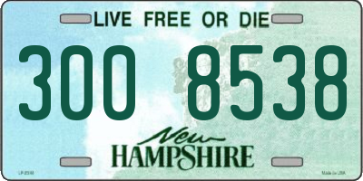 NH license plate 3008538