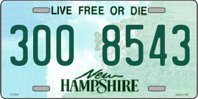 NH license plate 3008543
