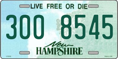 NH license plate 3008545