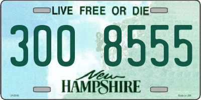 NH license plate 3008555