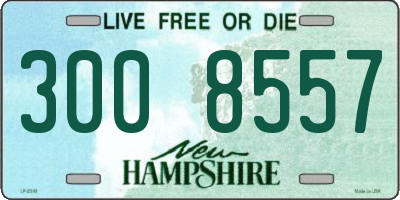 NH license plate 3008557