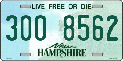 NH license plate 3008562