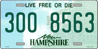 NH license plate 3008563
