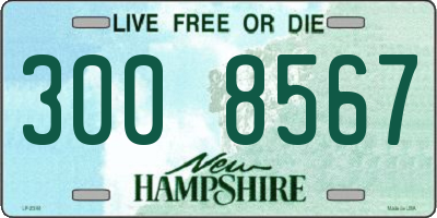 NH license plate 3008567