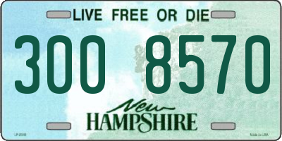 NH license plate 3008570