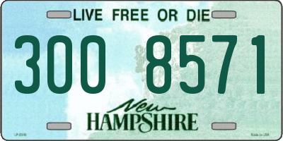 NH license plate 3008571