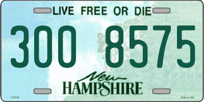 NH license plate 3008575