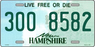 NH license plate 3008582
