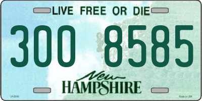 NH license plate 3008585