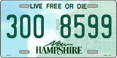 NH license plate 3008599