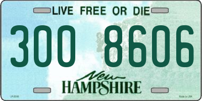 NH license plate 3008606