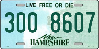 NH license plate 3008607