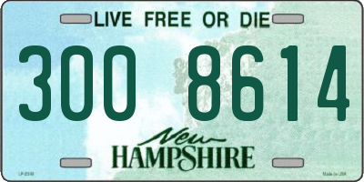 NH license plate 3008614