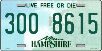 NH license plate 3008615