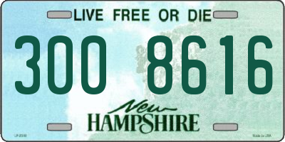 NH license plate 3008616