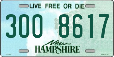 NH license plate 3008617