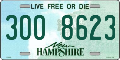 NH license plate 3008623
