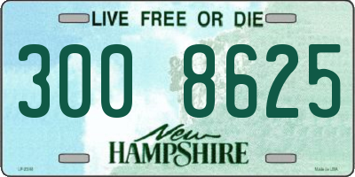 NH license plate 3008625