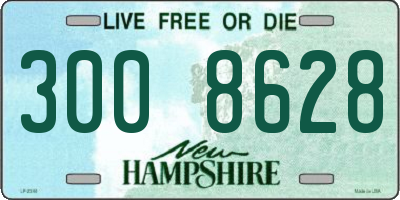 NH license plate 3008628