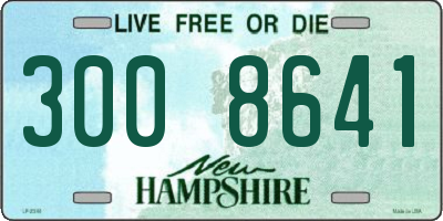 NH license plate 3008641