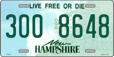 NH license plate 3008648
