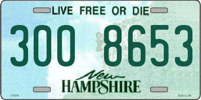NH license plate 3008653