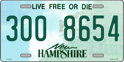 NH license plate 3008654