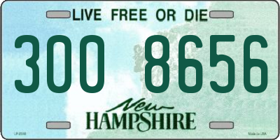 NH license plate 3008656