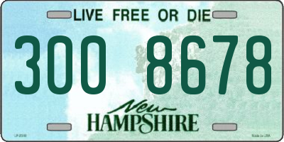 NH license plate 3008678