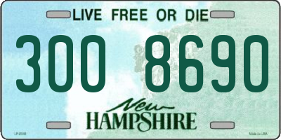 NH license plate 3008690
