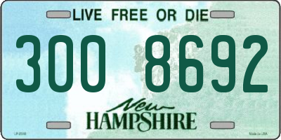 NH license plate 3008692