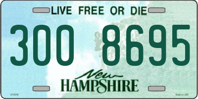 NH license plate 3008695