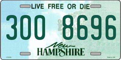 NH license plate 3008696