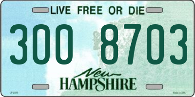 NH license plate 3008703