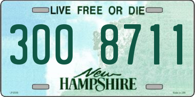 NH license plate 3008711