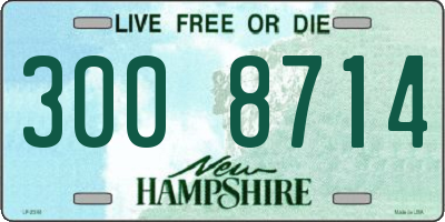 NH license plate 3008714