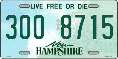 NH license plate 3008715