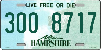 NH license plate 3008717