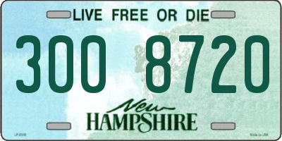 NH license plate 3008720