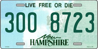 NH license plate 3008723