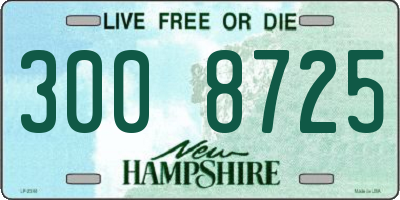 NH license plate 3008725