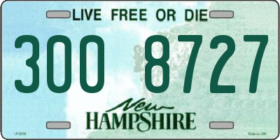 NH license plate 3008727