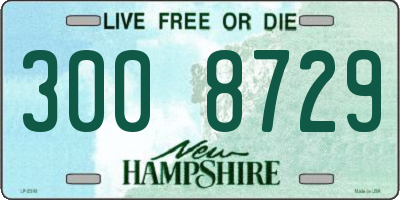 NH license plate 3008729