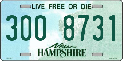 NH license plate 3008731