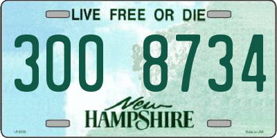 NH license plate 3008734