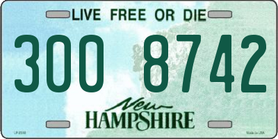 NH license plate 3008742