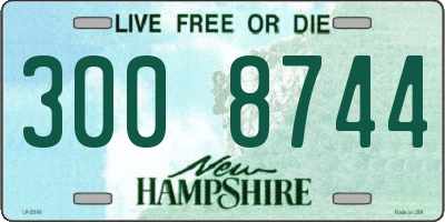 NH license plate 3008744