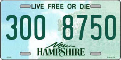 NH license plate 3008750